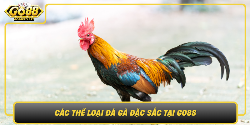 Cac The Loai Da Ga Dac Sac Tai Go88 Da Dang Cho Moi Dang Cap