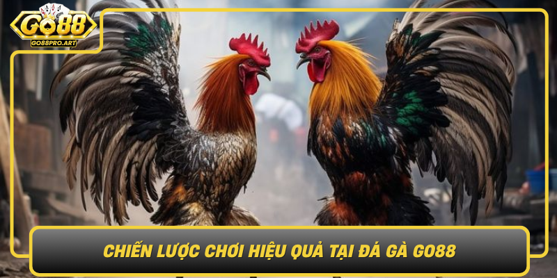 Chien Luoc Choi Hieu Qua Tai Da Ga Go88