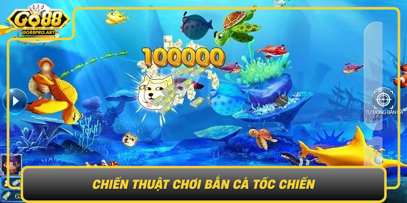 Chien Thuat Choi Ban Ca Toc Chien Bi Quyet Tang Ty Le Thang