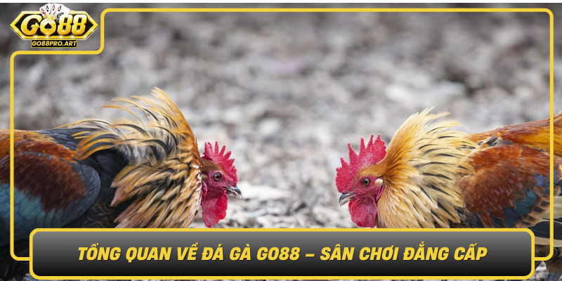 Tong Quan Ve Da Ga Go88 San Choi Dang Cap